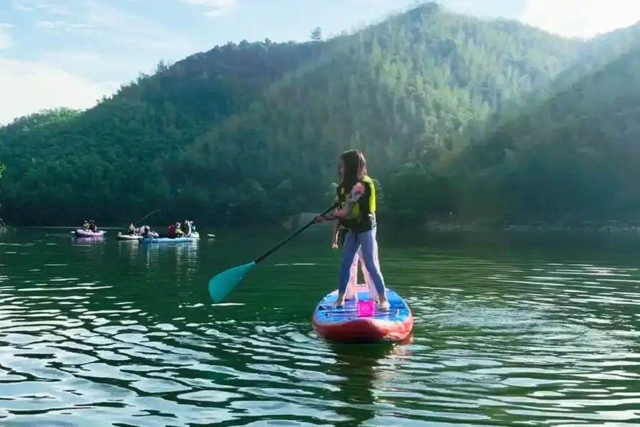 水库桨板