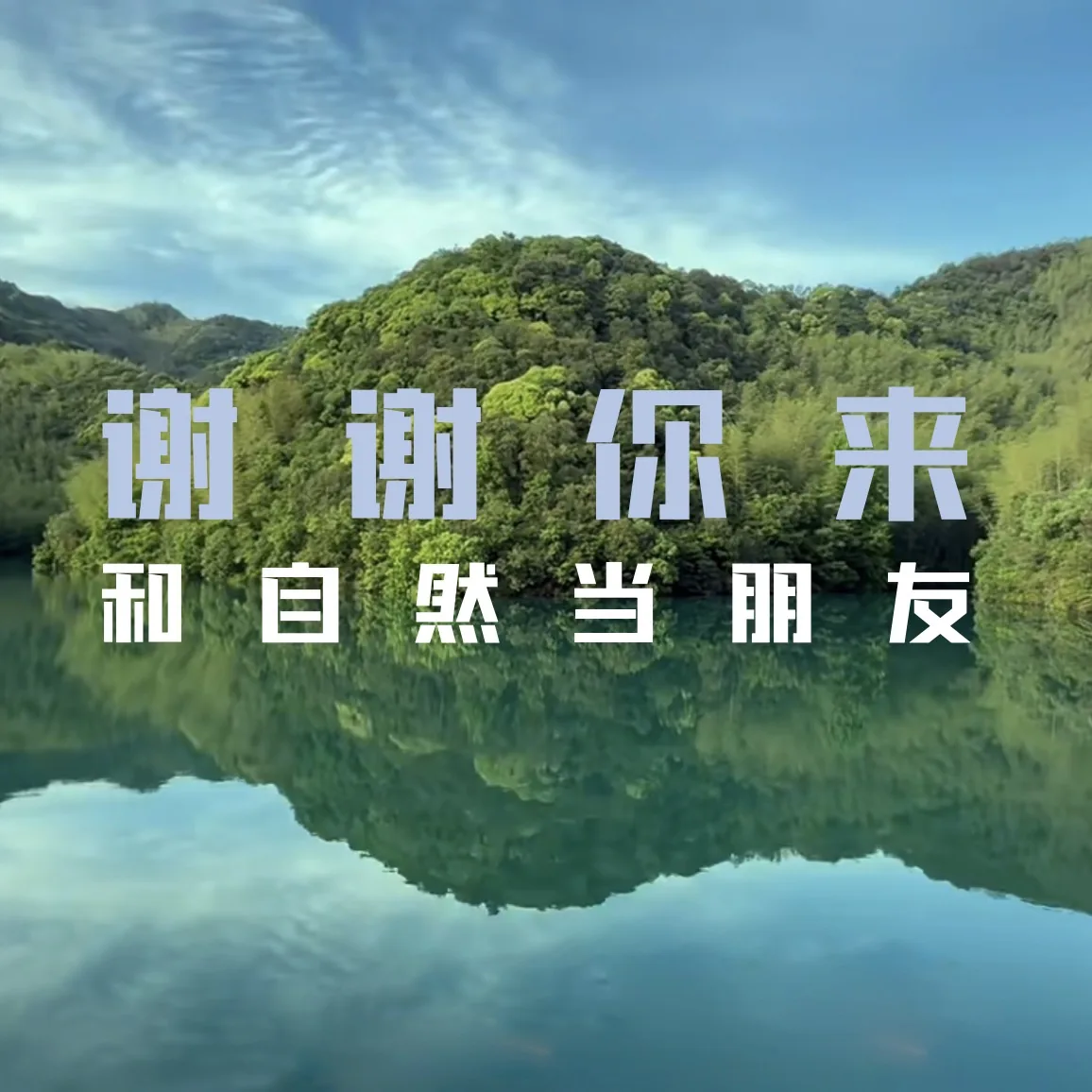 青山村竹林与村落