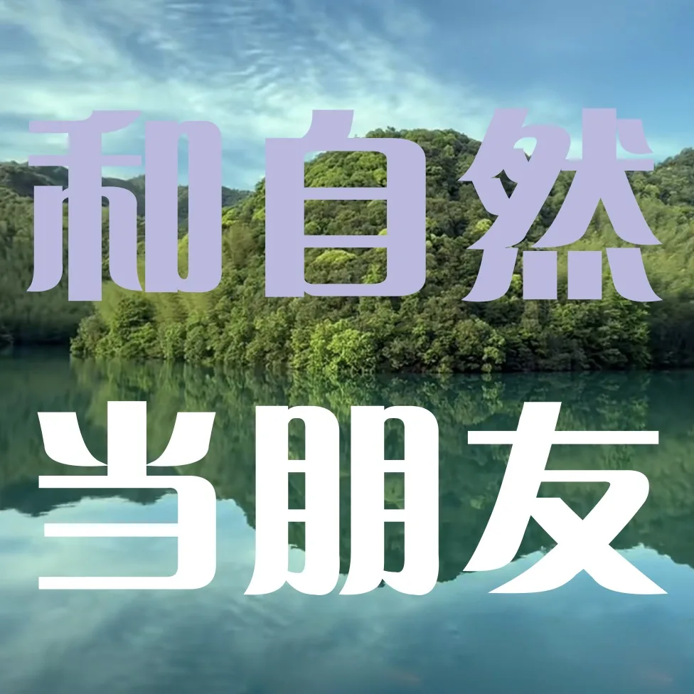 青山村环境现场